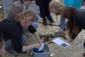People examining stones on a rock.